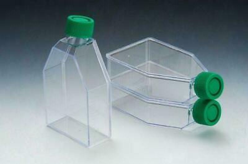 Corning® BioCoat™ Collagen 25cm² Rectangular Canted Neck Cell Culture